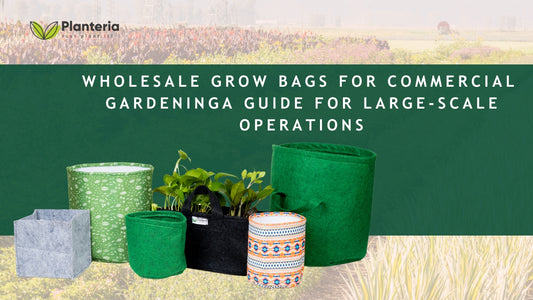 Wholesale Grow Bags for Commercial Gardening: A Guide for Large-Scale Operations