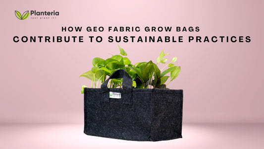 How Geo Fabric Grow Bags Contribute to Sustainable Practices