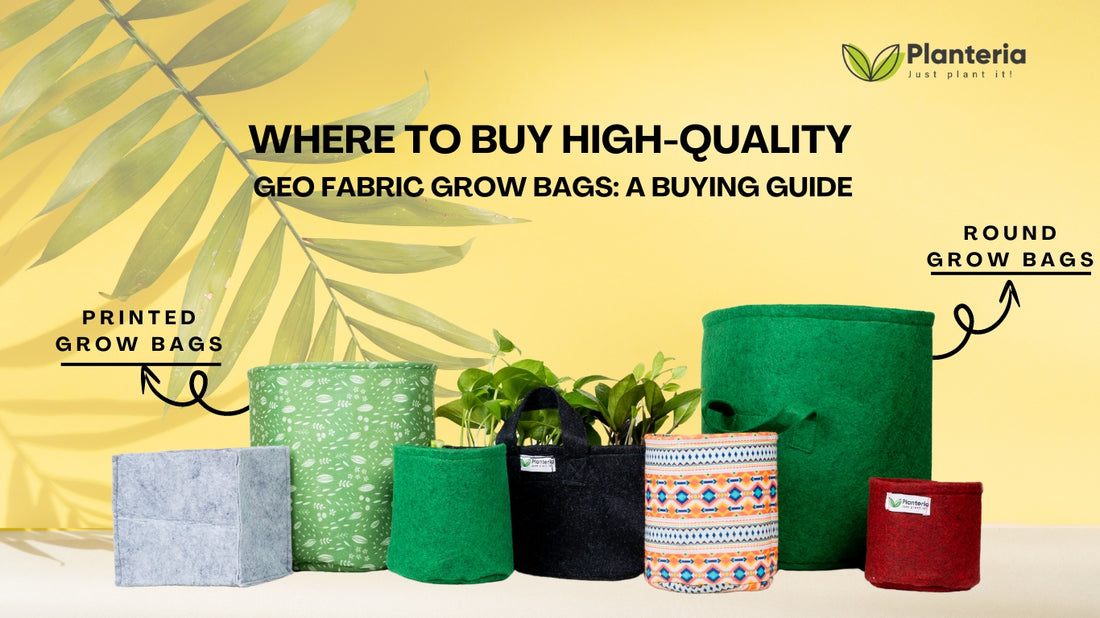 Where to Buy High-Quality Geo Fabric Grow Bags: A Buying Guide