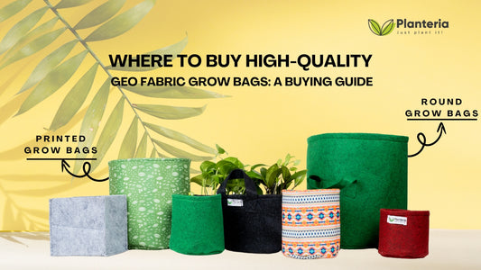 Where to Buy High-Quality Geo Fabric Grow Bags: A Buying Guide