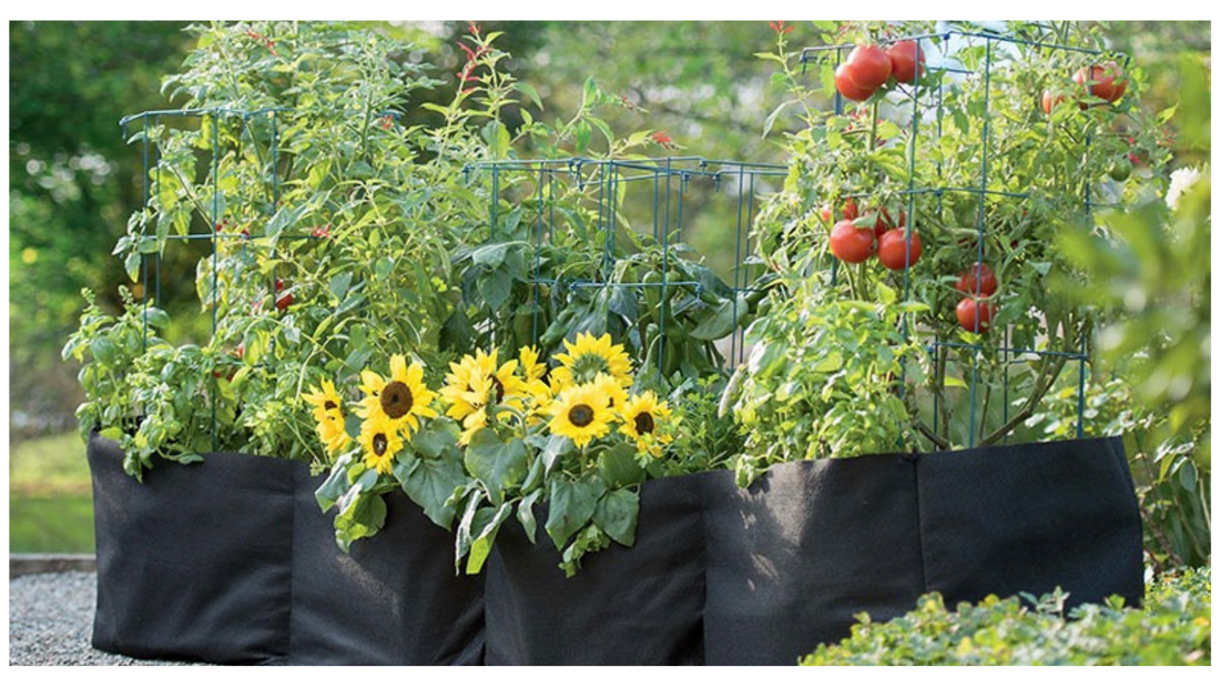 Shop Raised Garden Beds & Rectangular Grow Bags Online | Planteria