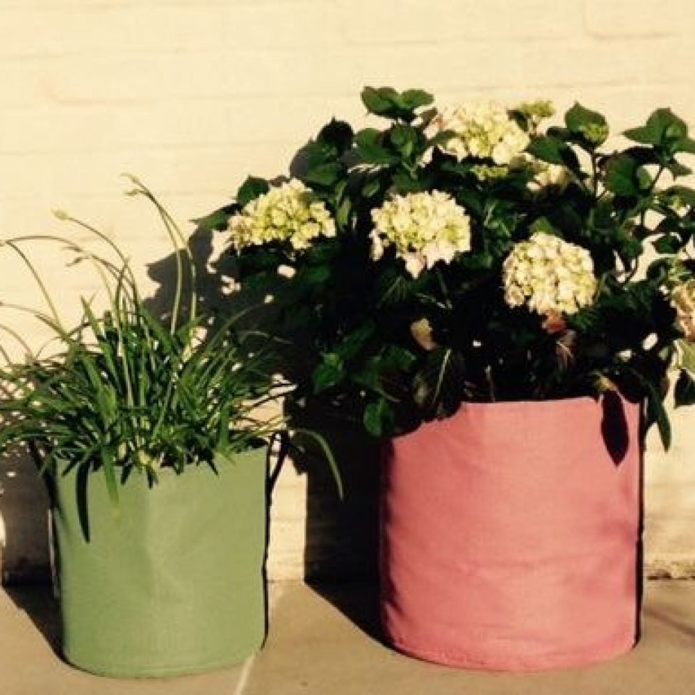 5c7d2b85164692d762a994779a68d783