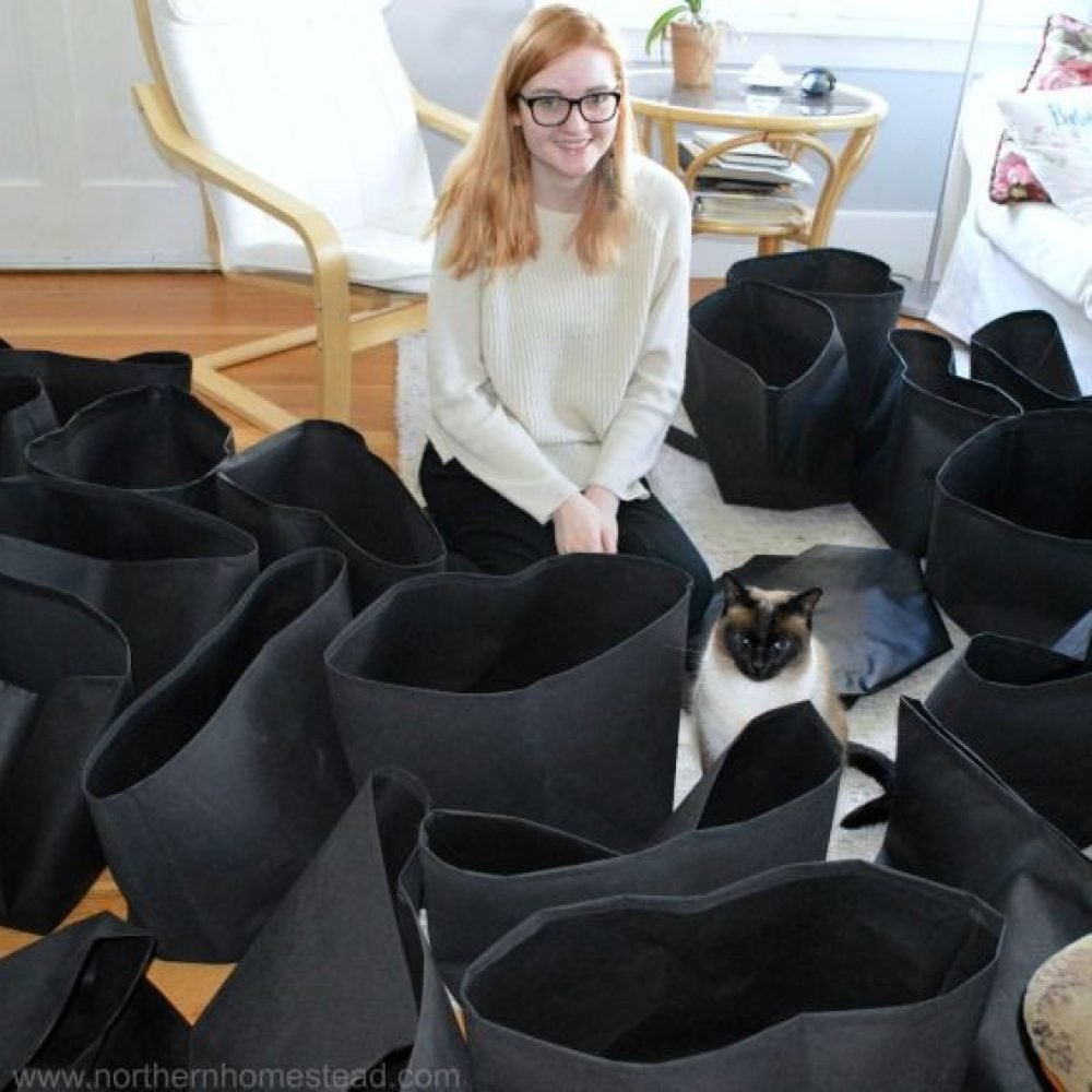 7c9c3b75afaeb72a08cb1ab6fdbe81a8