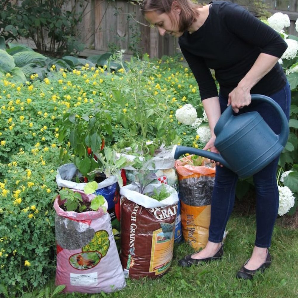 de914579ca43497205e9b5d041943152